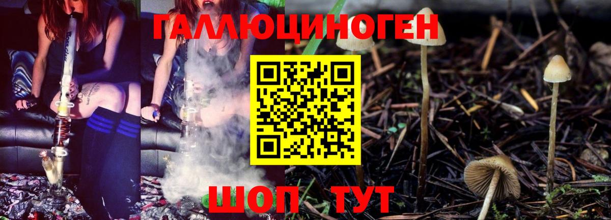 Галлюциногенные грибы Psilocybe Россошь